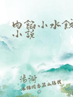 肉馅小水饺写的小说