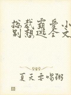 总裁霸爱小娇妻别想逃全文阅读免费