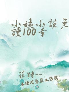 小姨小说免费阅读100章