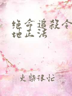 绝命追杀令2就地正法