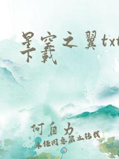 星空之翼txt下载