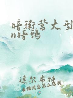 暗卫营大型hpn暗鸦