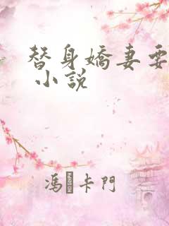 替身娇妻要离婚 小说