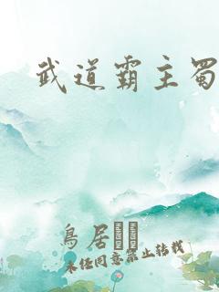 武道霸主蜀狂人