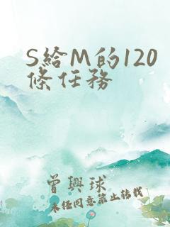 S给M的120条任务