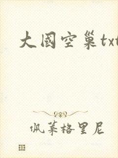 大国空巢txt