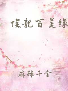俊龙百美缘小说