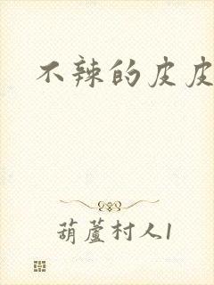 不辣的皮皮小说