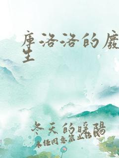 库洛洛的废柴人生