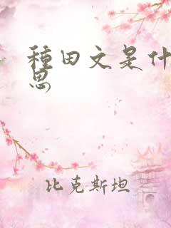 种田文是什么意思
