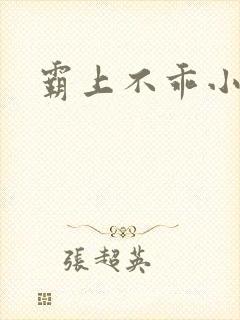 霸上不乖小逃妻