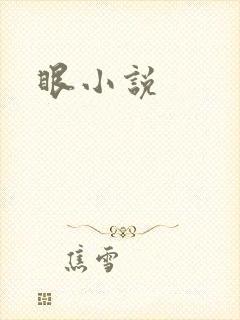 眼小说