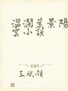 温澜叶景阳温云云小说