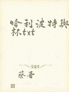 哈利波特与火焰杯txt