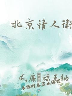 北京情人卫慧