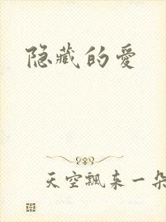 隐藏的爱