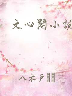 文心阁小说