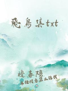 飞鸟集txt