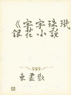 《字字珠玑》金银花小说