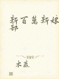 新百万新娘第二部