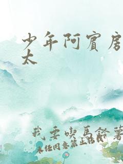 少年阿宾房东太太