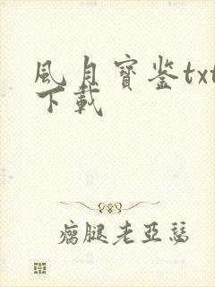 风月宝鉴txt下载