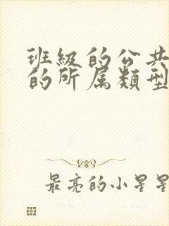 班级的公共小0的所属类型