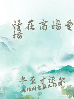 情在商场爱在官场