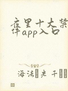 夜里十大禁用软件app入口