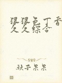 狠狠色丁香婷婷久久综合