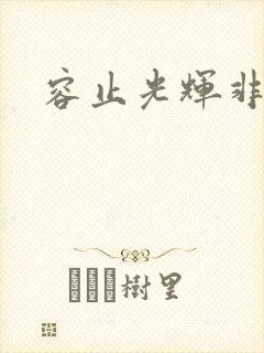 容止光辉非世人