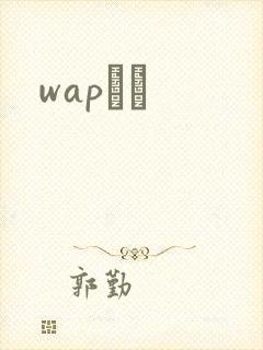 wapС˵