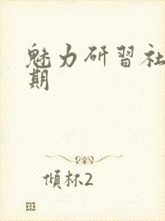 魅力研习社43期