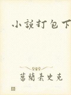 小说打包下载