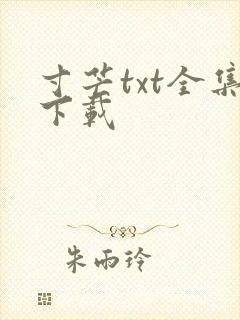 寸芒txt全集下载