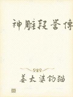 神雕段誉传