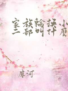 家族轮换小说第二部叫什么名字