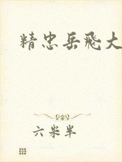 精忠岳飞大结局