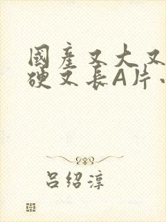 国产又大又粗又硬又长A片小说