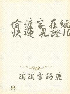 偷渡客在缅北送快递 见证100种逃亡