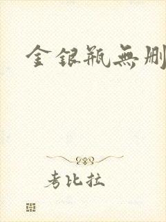 金银瓶无删除
