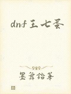 dnf王七蛋