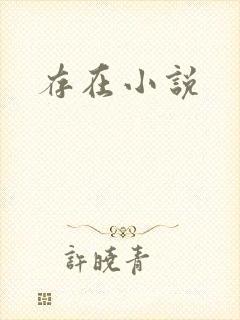 存在小说