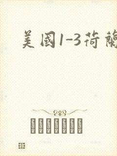 美国1-3荷兰