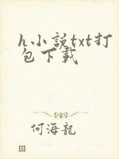 h小说txt打包下载