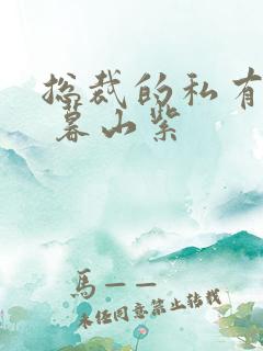 总裁的私有宝贝 暮山紫