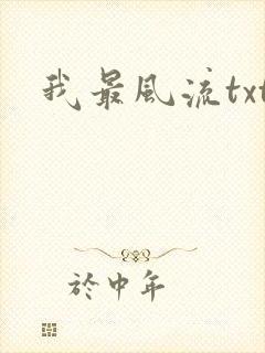 我最风流txt