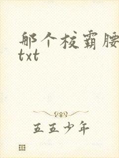 那个校霸腰好软txt