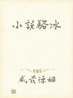 小说骆冰