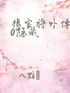 杨家将外传2.0隐藏